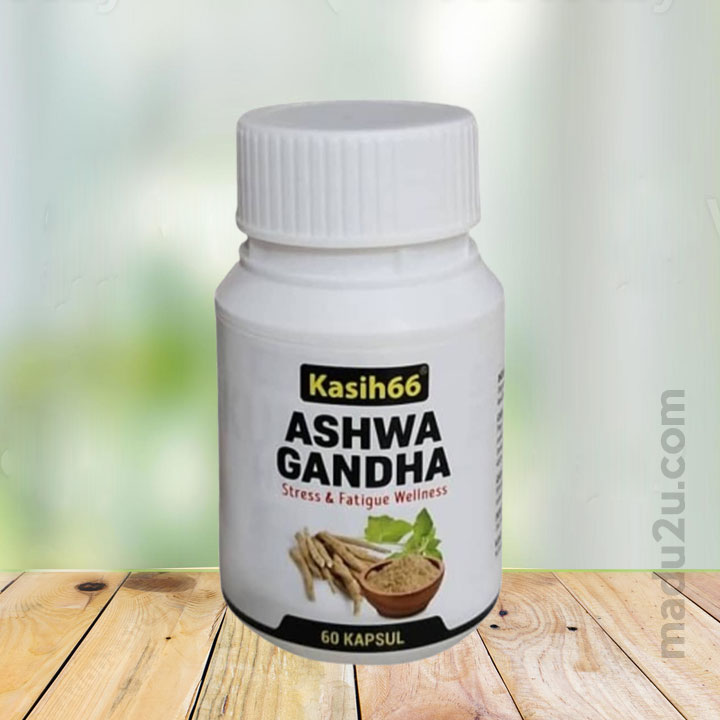 Ashwa Gandha (60 kapsul)